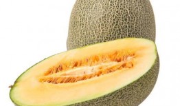 吃哈密瓜糖葫芦视频,哈密瓜糖葫芦的独特风味体验