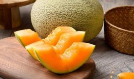 女猴吃哈密瓜视频,萌态十足引网友热议