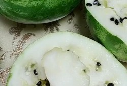 吃瓜神器劲爆打瓜视频下载,吃瓜神器带你畅享热门瓜料