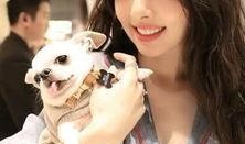 郭碧婷吃瓜小表妹视频在线观看,揭秘娱乐圈幕后故事