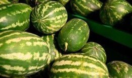 潍坊泰华吃瓜事件视频最新,一场网络热议的瓜田奇谈