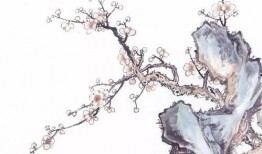 梅花七的吃瓜视频,揭秘娱乐圈幕后故事