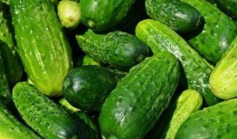 韩佳妮视频吃瓜,揭秘娱乐圈幕后故事