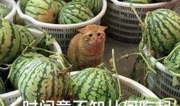 吃瓜视频看不了,为何吃瓜视频看不了，背后原因大揭秘