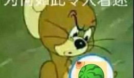 吃瓜表情包西瓜视频,吃瓜表情包，夏日清凉必备神器