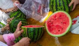 最新恶心吃瓜视频,惊悚揭秘！最新吃瓜视频揭露惊人内幕