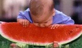 大羊吃瓜视频,揭秘网络热点的背后故事