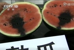 昨晚潮汕吃瓜视频,一场视觉与味蕾的双重盛宴