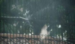 吃瓜群众公园视频,揭秘日常欢乐瞬间