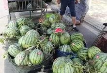 临沂兰陵吃瓜事件视频,一场引发热议的网络视频风波