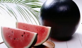 日本人吃中国沙白瓜视频,中国沙白瓜，口感独特，美味诱人！