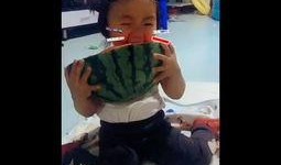 宝宝吃瓜的搞笑视频图片