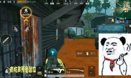 刺激战场吃瓜视频,揭秘游戏幕后趣闻与精彩瞬间