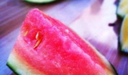 山东小伙吃瓜视频大全集,趣味横生的美食探秘之旅