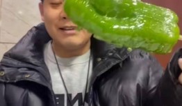 茂名网红吃瓜事件视频,一场网络狂欢背后的真相揭秘