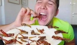 生瓜吃虫子视频,一场自然界的生存挑战