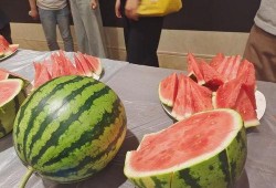 浙江大学吃瓜视频,揭秘校园生活趣味瞬间