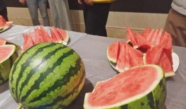 浙江大学吃瓜视频,揭秘校园生活趣味瞬间