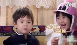 八卦吃瓜明星直播视频下载,揭秘明星八卦吃瓜瞬间，精彩视频下载回顾