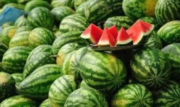 新乐市吃瓜事件真相视频,揭秘真相背后的惊人内幕