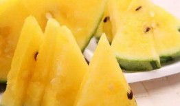 吃瓜视频都是哪里的,吃瓜视频的来源地大揭秘