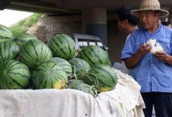 祥云县医院吃瓜事件视频,视频揭露惊人内幕