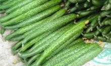 阳台吃瓜视频,短视频带你领略夏日休闲时光