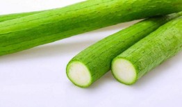 老年人吃生瓜的视频,勇敢挑战生瓜美食之旅